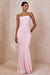 ECM_HR_CL129967117---Ceremony-_-Pink-Bandeau-Maxi-Dress-01.jpg