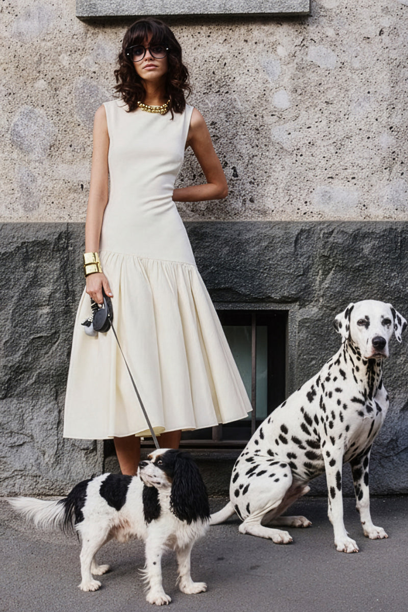 dalmatian-EDITED.jpg