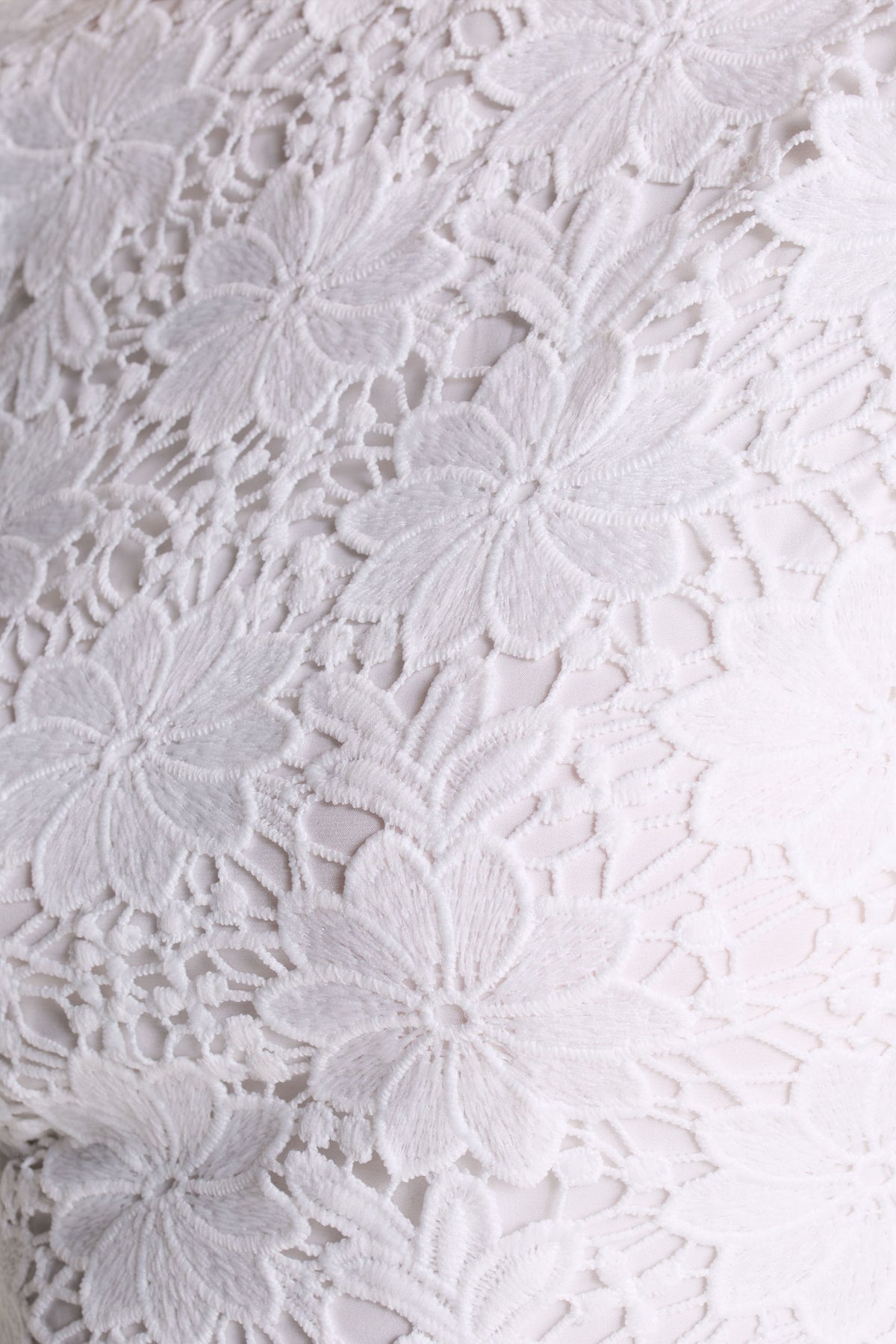 uploaded_image_1_qwg14