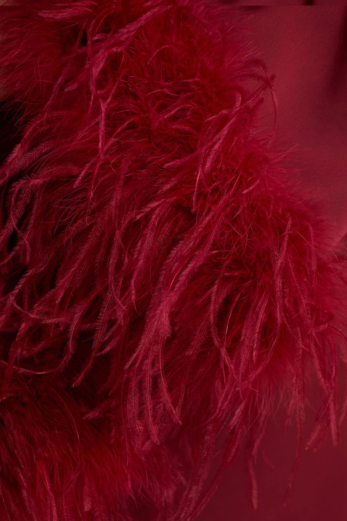 uploaded_image_4_0jww2